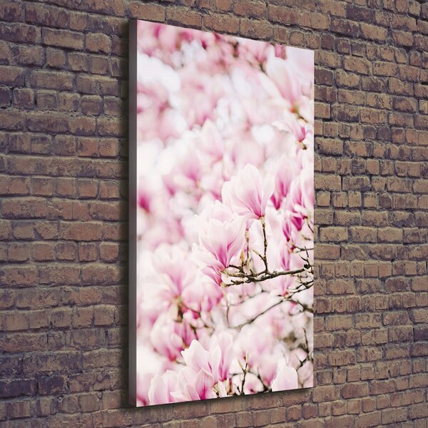Vertikální Foto obraz na plátně Květy magnolie ocv-81680689