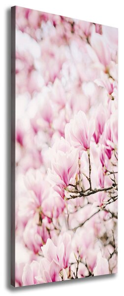 Vertikální Foto obraz na plátně Květy magnolie ocv-81680689