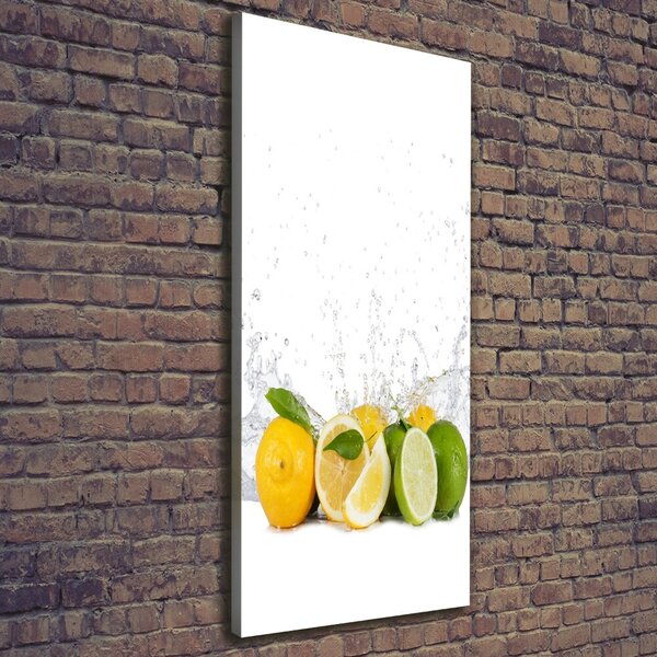 Vertikální Moderní obraz canvas na rámu Citrusy ocv-81760914
