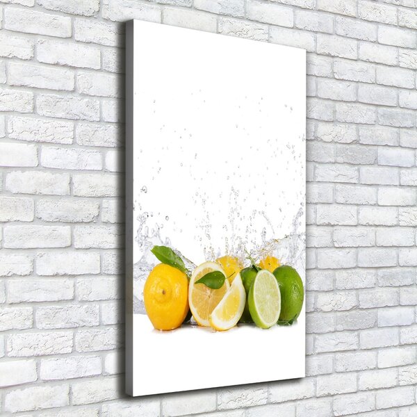 Vertikální Moderní obraz canvas na rámu Citrusy ocv-81760914