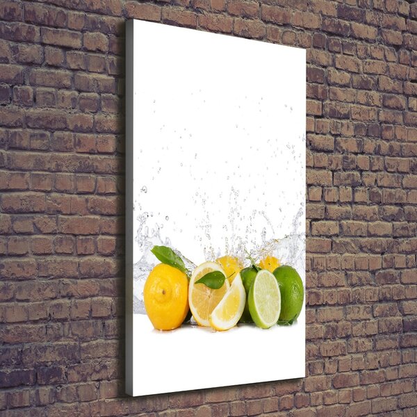 Vertikální Moderní obraz canvas na rámu Citrusy ocv-81760914