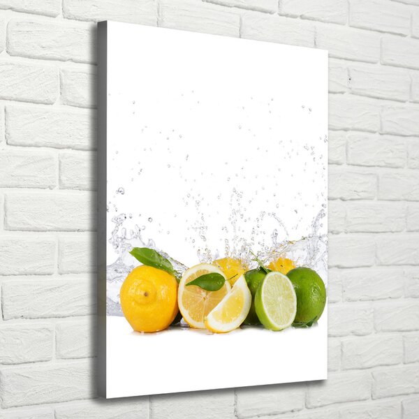 Vertikální Moderní obraz canvas na rámu Citrusy ocv-81760914