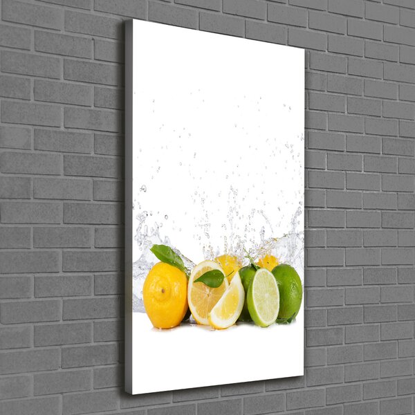 Vertikální Moderní obraz canvas na rámu Citrusy ocv-81760914