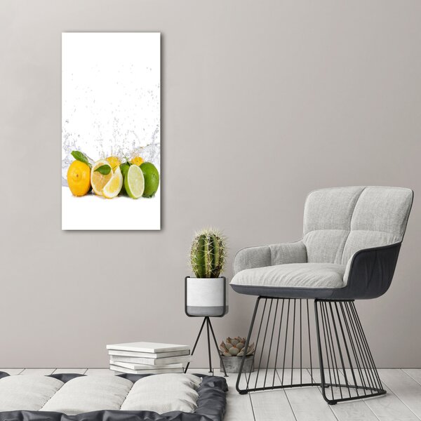 Vertikální Moderní obraz canvas na rámu Citrusy ocv-81760914