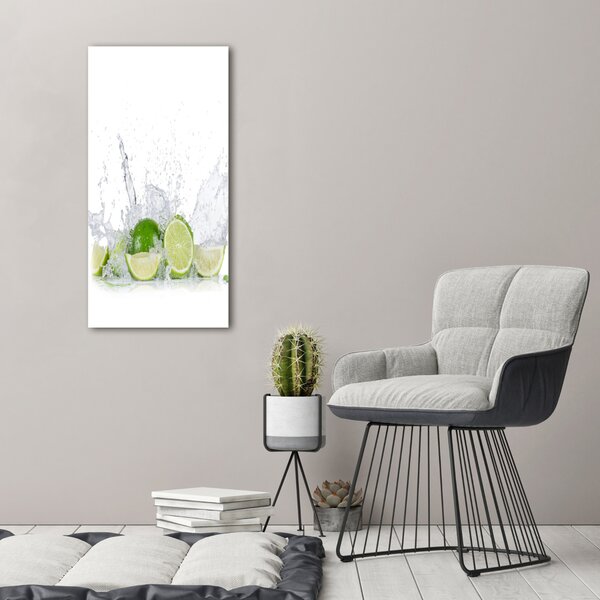 Vertikální Moderní obraz canvas na rámu Limetka ocv-82343723
