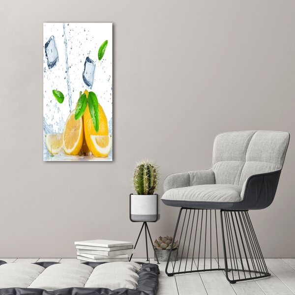 Vertikální Foto obraz na plátně Citron a led ocv-82344620