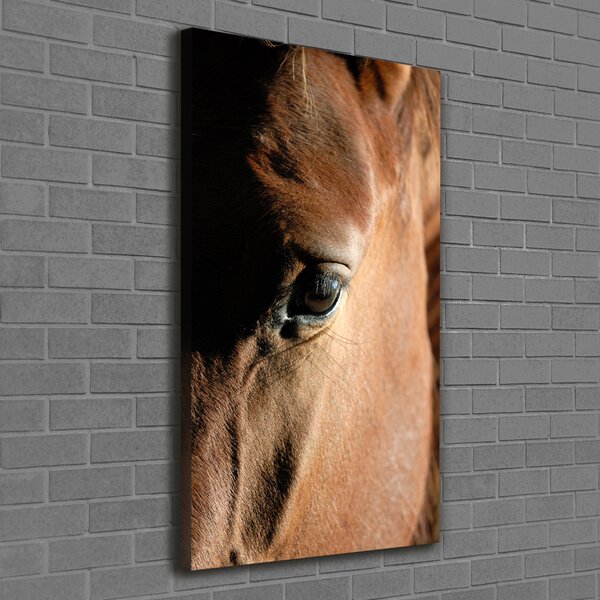 Vertikální Foto obraz canvas Kůň ocv-8260675