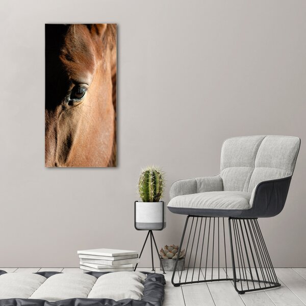 Vertikální Foto obraz canvas Kůň ocv-8260675