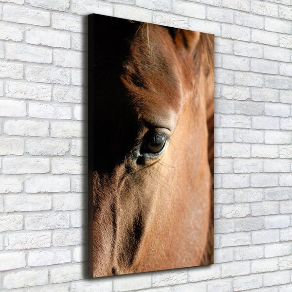 Vertikální Foto obraz canvas Kůň ocv-8260675