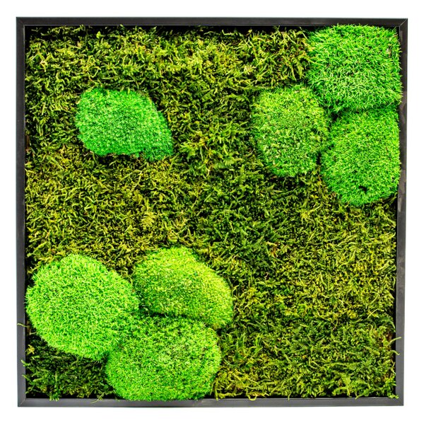 Mechový obraz 35x35 cm kombinovaný mech kopečkový s plochým, černá +