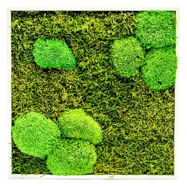 Mechový obraz 35x35 cm kombinovaný mech kopečkový s plochým, bílá +
