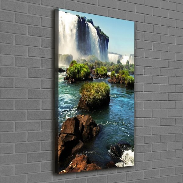 Vertikální Foto obraz canvas Vodopád Igazu ocv-83377998