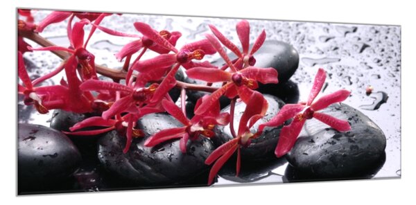 Obraz skleněný červený květ a černé kameny - 50 x 100 cm