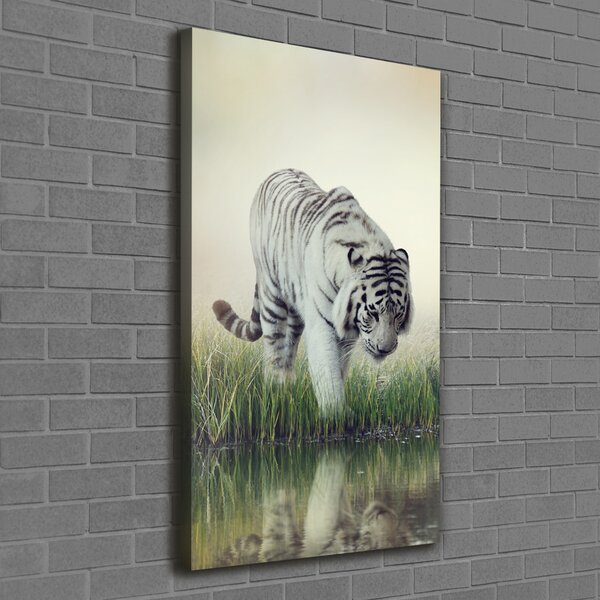 Vertikální Foto obraz canvas Bílý tygr ocv-84071201