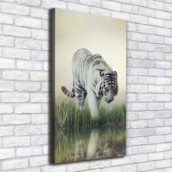 Vertikální Foto obraz canvas Bílý tygr ocv-84071201