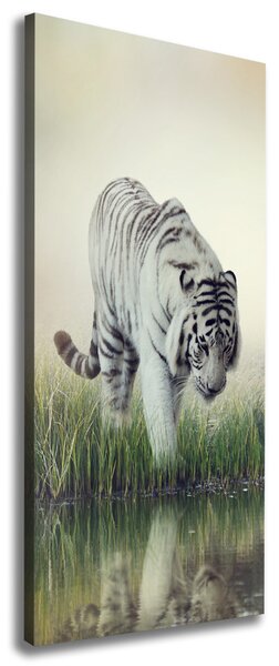 Vertikální Foto obraz canvas Bílý tygr ocv-84071201