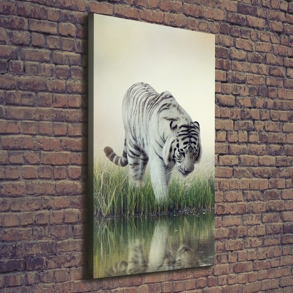 Vertikální Foto obraz canvas Bílý tygr ocv-84071201