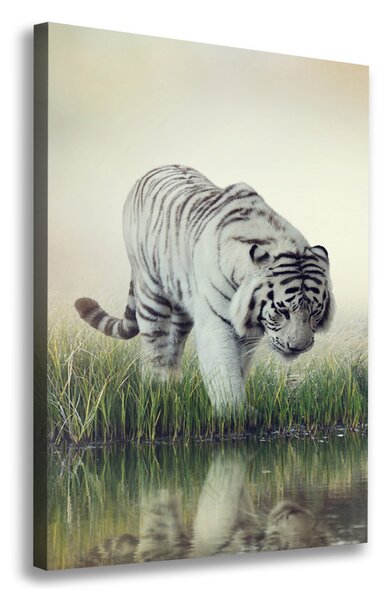 Vertikální Foto obraz canvas Bílý tygr ocv-84071201