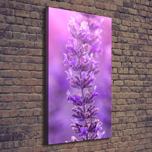 Vertikální Foto obraz canvas Pole levandule ocv-84232090
