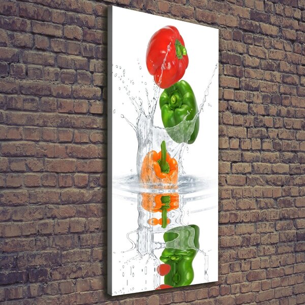 Vertikální Moderní obraz canvas na rámu Paprika ocv-84500695