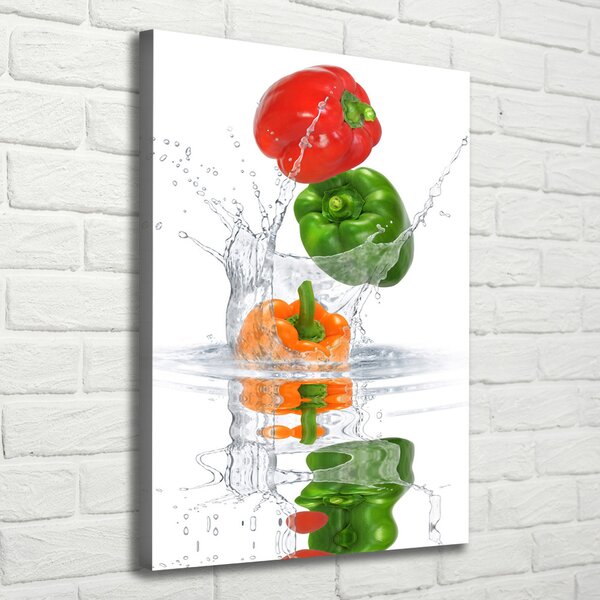 Vertikální Moderní obraz canvas na rámu Paprika ocv-84500695