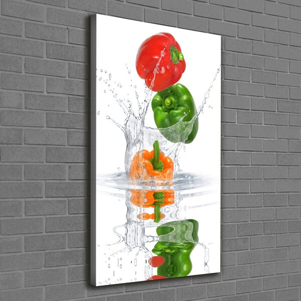 Vertikální Moderní obraz canvas na rámu Paprika ocv-84500695