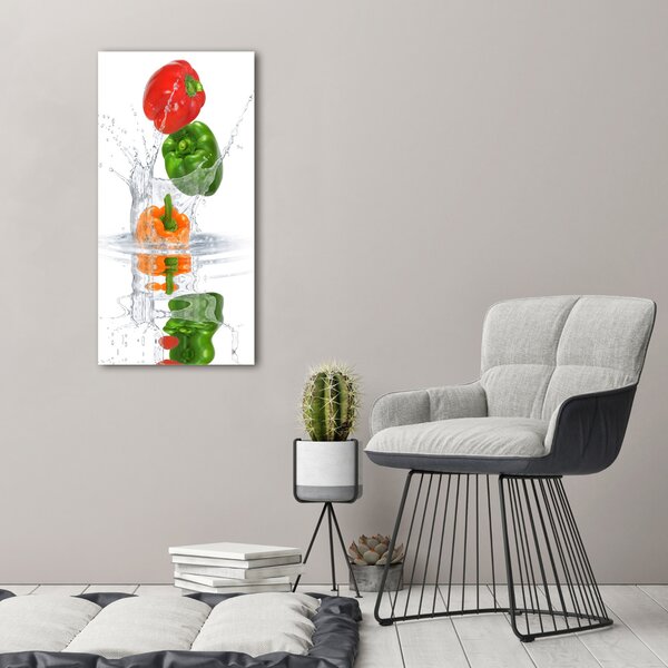 Vertikální Moderní obraz canvas na rámu Paprika ocv-84500695