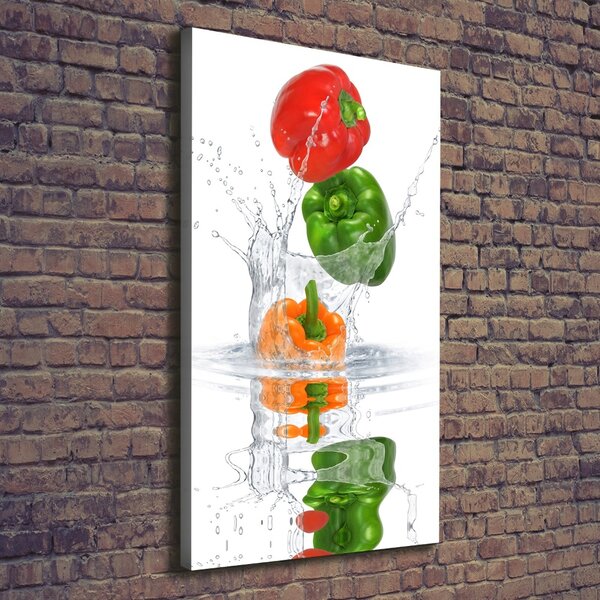 Vertikální Moderní obraz canvas na rámu Paprika ocv-84500695