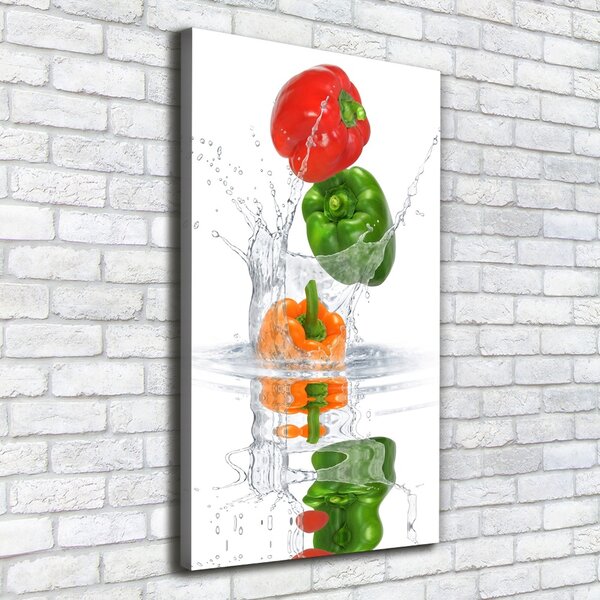 Vertikální Moderní obraz canvas na rámu Paprika ocv-84500695