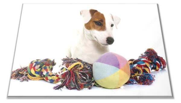 Skleněné prkénko pes jack russel s hračkami - 30x20cm
