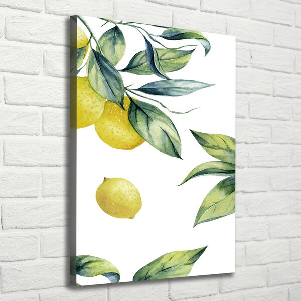 Vertikální Moderní obraz canvas na rámu Citrony ocv-85316646