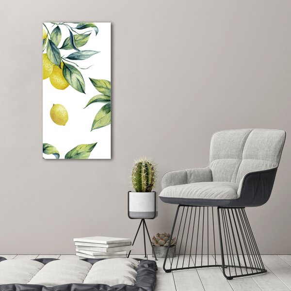 Vertikální Moderní obraz canvas na rámu Citrony ocv-85316646