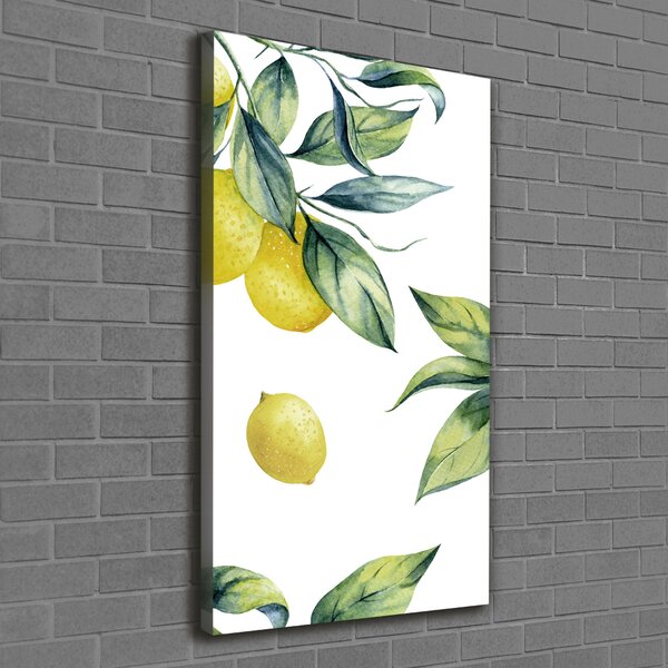 Vertikální Moderní obraz canvas na rámu Citrony ocv-85316646