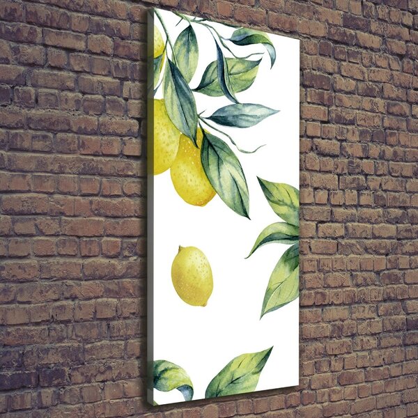 Vertikální Moderní obraz canvas na rámu Citrony ocv-85316646