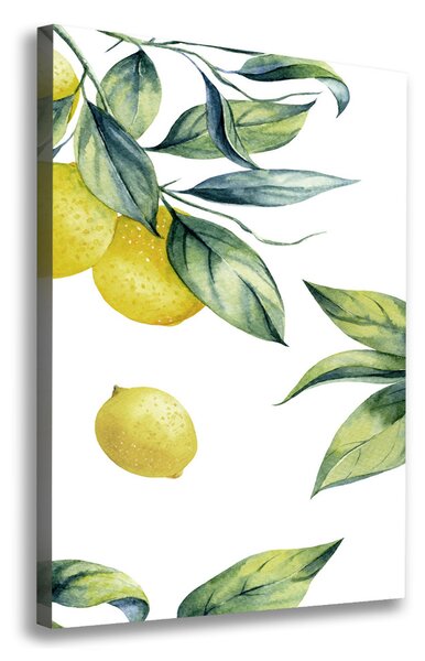 Vertikální Moderní obraz canvas na rámu Citrony ocv-85316646