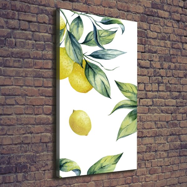 Vertikální Moderní obraz canvas na rámu Citrony ocv-85316646