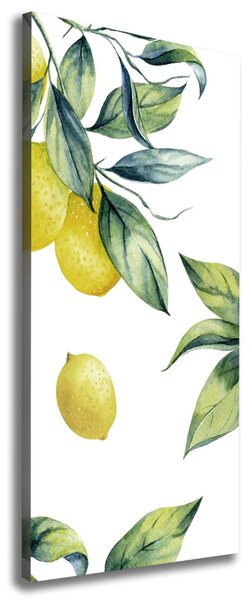 Vertikální Moderní obraz canvas na rámu Citrony ocv-85316646