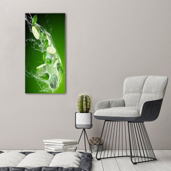 Vertikální Moderní obraz canvas na rámu Limetky ocv-85654366