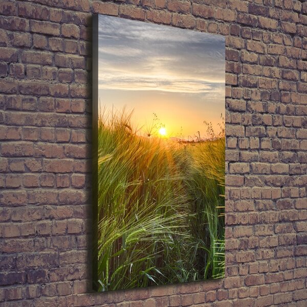 Vertikální Foto obraz canvas Pole pšenice ocv-86489340