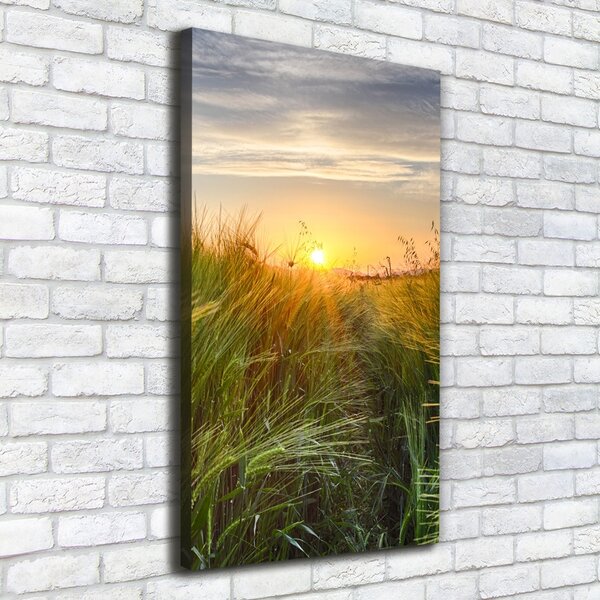 Vertikální Foto obraz canvas Pole pšenice ocv-86489340