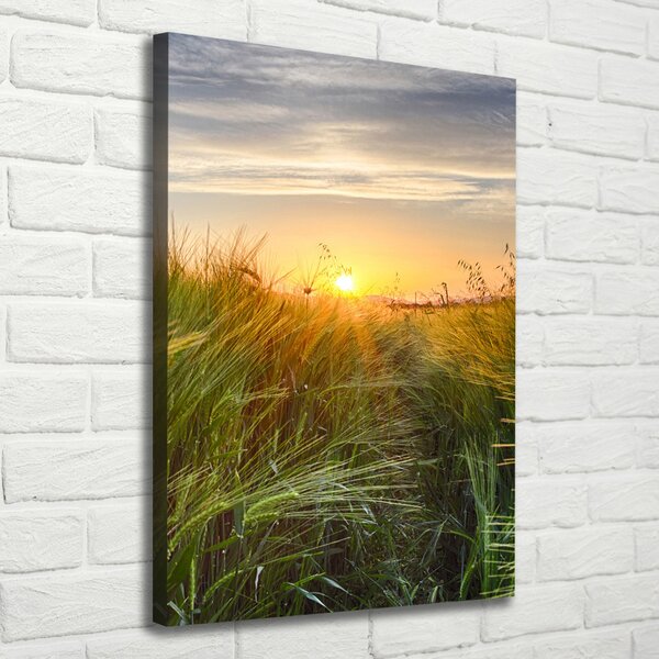 Vertikální Foto obraz canvas Pole pšenice ocv-86489340