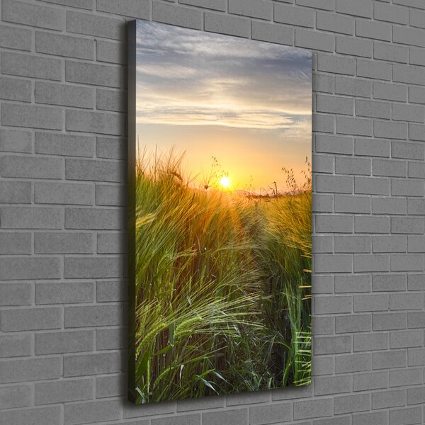 Vertikální Foto obraz canvas Pole pšenice ocv-86489340