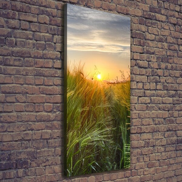 Vertikální Foto obraz canvas Pole pšenice ocv-86489340