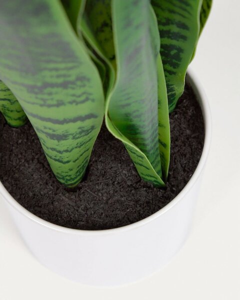 Umělá rostlina (výška 55 cm) Sansevieria – Kave Home