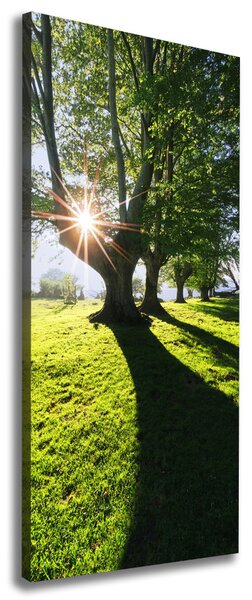 Vertikální Foto obraz tištěný na plátně Park ocv-87151652
