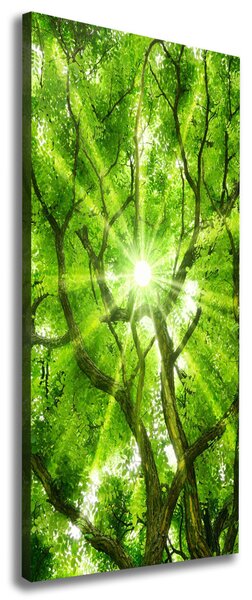 Vertikální Foto obraz canvas Koruna stromů ocv-88048768