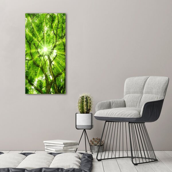 Vertikální Foto obraz canvas Koruna stromů ocv-88048768