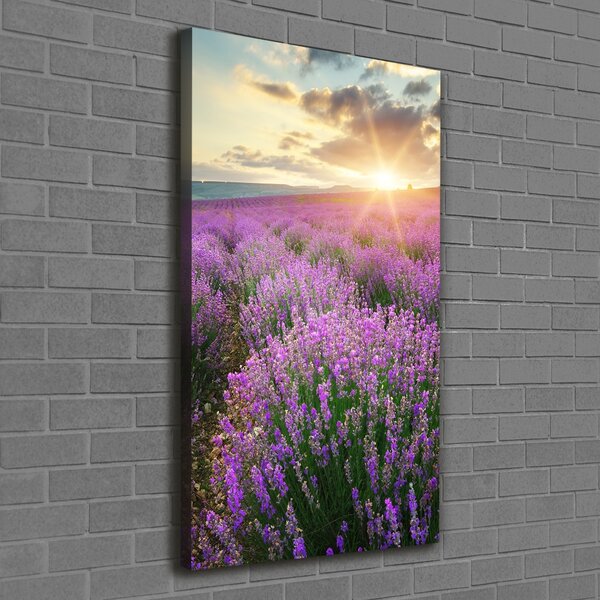 Vertikální Foto obraz canvas Pole levandule ocv-88269062