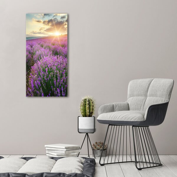Vertikální Foto obraz canvas Pole levandule ocv-88269062