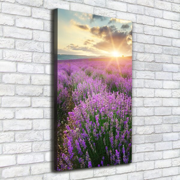 Vertikální Foto obraz canvas Pole levandule ocv-88269062